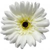 Umelá gerbera biela 10 cm Umelá gerbera biela 10 cm