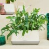 Lechuza Yula Trend truhlík bílo-šedý komplet Lechuza Yula Trend truhlík bílo-šedý komplet