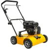 TEXAS Pro Cut 461TG 90061139 - Benzínový vertikutátor TEXAS Pro Cut 461TG 90061139 - Benzínový vertikutátor