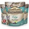 Carnilove Dog Pouch Paté Carp with Black Carrot 300 g Carnilove Dog Pouch Paté Carp with Black Carrot 300 g