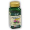 VitaHarmony Ostropestrec mariánsky sily.140mg 110tbl VitaHarmony Ostropestrec mariánsky sily.140mg 110tbl
