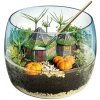 Terárium Clementoni Harry Potter: Hagridova chatrč Terárium Clementoni Harry Potter: Hagridova chatrč