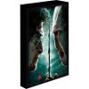 Obraz LED svietiace 30x40, Harry potter - Harry vs. Voldemort Obraz LED svietiace 30x40, Harry potter - Harry vs. Voldemort