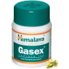 Himalaya Herbals Gasex 100 tabliet – ovplyvňuje trávenie, hladinu cukru a cholesterolu Himalaya Herbals Gasex 100 tabliet – ovplyvňuje trávenie, hladinu cukru a cholesterolu