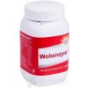 Wobenzym tbl ent (liek.plast.-klin.bal.) 1x800 ks Wobenzym tbl ent (liek.plast.-klin.bal.) 1x800 ks