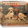 Štěňata s botou - Puzzle Eurographics (Puzzle 1000 díllků) Štěňata s botou - Puzzle Eurographics (Puzzle 1000 díllků)