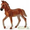 Collecta Peruánsky paso kôň, gaštanové žriebä 88751 COLLECTA Collecta Peruánsky paso kôň, gaštanové žriebä 88751 COLLECTA