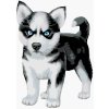 zuty Maľovanie podľa čísel - Modrooký husky, 80x100 cm, vypnuté plátno na rám (8596530014355) zuty Maľovanie podľa čísel - Modrooký husky, 80x100 cm, vypnuté plátno na rám (8596530014355)