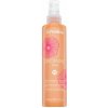 Echosline Discipline Spray uhladzujúci sprej proti krepateniu vlasov 200 ml Echosline Discipline Spray uhladzujúci sprej proti krepateniu vlasov 200 ml