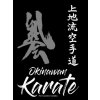 Okinawan Karate (GUSTAVO GONDRA)(Brožovaná) Okinawan Karate (GUSTAVO GONDRA)(Brožovaná)