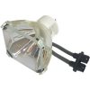 Lampa pre projektor UTAX DXL 5032, kompatibilná lampa bez modulu Lampa pre projektor UTAX DXL 5032, kompatibilná lampa bez modulu