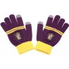Noble Collection Rukavice Harry Potter Chrabromil