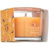 Yankee Candle Slopeside Spritz 37 g Yankee Candle Slopeside Spritz 37 g
