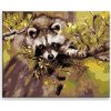 Maľovanie podľa čísel - Mýval na strome - 50x40 cm, plátno vypnuté na rám - výroba CZ Maľovanie podľa čísel - Mýval na strome - 50x40 cm, plátno vypnuté na rám - výroba CZ