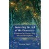 Answering the Call of the Elementals (Thomas Mayer)(Brožovaná) Answering the Call of the Elementals (Thomas Mayer)(Brožovaná)