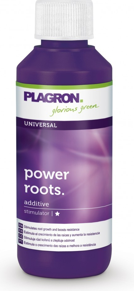 PLAGRON Power roots 1l