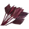 Sušené palmové listy tvarované - oštep malý 15ks - bordový Sušené palmové listy tvarované - oštep malý 15ks - bordový