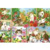 BlueBird Mačky a mačiatka 1000 dielov