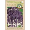 Fazuľa kríčkovitá Purple Queen skvelá gurmánská chuť Fazuľa kríčkovitá Purple Queen skvelá gurmánská chuť