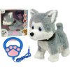 mamido Plyšový psík Husky interaktívny edukačný s vodítkom a pesničkami chodiaci mamido Plyšový psík Husky interaktívny edukačný s vodítkom a pesničkami chodiaci