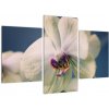 Obraz orchidey (Obraz 90x60cm) Obraz orchidey (Obraz 90x60cm)