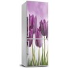 Nálepka fototapeta Fialové tulipány 60x180 cm Nálepka fototapeta Fialové tulipány 60x180 cm