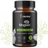 Blendea Horčík (magnézium) Treonát - Magtein™ 90 kapsúl Blendea Horčík (magnézium) Treonát - Magtein™ 90 kapsúl