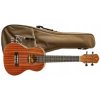 Koncertové ukulele Izzo Koncertové ukulele Izzo