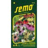 Semo Echinacea purpurová - Paradiso 12 s Semo Echinacea purpurová - Paradiso 12 s