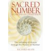 Sacred Number and the Origins of Civilization (Richard Heath)(Brožovaná) Sacred Number and the Origins of Civilization (Richard Heath)(Brožovaná)