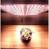 PROFI LED GROW panel pre všetky rastliny (sunlight+red) 100W PROFI LED GROW panel pre všetky rastliny (sunlight+red) 100W