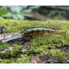 Wobler RAPALA Deep Tail Dancer TDD 9cm – Flash Perch Wobler RAPALA Deep Tail Dancer TDD 9cm – Flash Perch