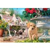 Anatolian - Puzzle Šteniatka a mačičiky - 260 dielov Anatolian - Puzzle Šteniatka a mačičiky - 260 dielov