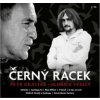 Černý racek Černý racek