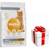 IAMS for Vitality Cat Adult Indoor chicken 10 kg