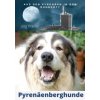 Pyrenäenberghund - Aus den Pyrenäen in den Ruhrpott (Pevná) Pyrenäenberghund - Aus den Pyrenäen in den Ruhrpott (Pevná)
