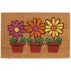 Rohožka 142 E-coco 046 flowerpots Rohožka 142 E-coco 046 flowerpots Rohožka 142 E-coco 046 flowerpots Rohožka 142 E-coco 046 flowerpots