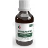 Herbadent Gingiválny roztok z bylín 25 ml roztok na ďasná Herbadent Gingiválny roztok z bylín 25 ml roztok na ďasná