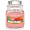 Yankee Candle Sun-Drenched Apricot Rose 104 g Yankee Candle Sun-Drenched Apricot Rose 104 g