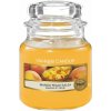 Yankee Candle Mango peach salsa vonná sviečka 104 g