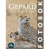 A Arelt,Our World - Gepard A Arelt,Our World - Gepard