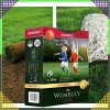 Graminex Prémiová trávna zmes WEMBLEY pre miesta s intenzívnym využívaním 1 kg Graminex Prémiová trávna zmes WEMBLEY pre miesta s intenzívnym využívaním 1 kg