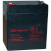 Alarmguard 12V 4,5Ah