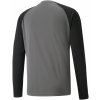 Puma teamPACER Pánský brankářský dres