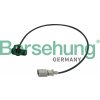 Snímač otáčok pre riadenie motora Borsehung B13670 Snímač otáčok pre riadenie motora Borsehung B13670
