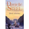 Bod zlomu - Danielle Steel Bod zlomu - Danielle Steel