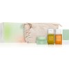 KAINE Travel Kit KAINE Rosemary Relief Gel Cleanser exfoliačný čistiaci gél pre citlivú pleť so sklonom k akné 30 ml + KAINE Kombu Balancing Ampoule Toner vyvažujúce tonikum na posilnenie kožnej barié KAINE Travel Kit KAINE Rosemary Relief Gel Cleanser exfoliačný čistiaci gél pre citlivú pleť so sklonom k akné 30 ml + KAINE Kombu Balancing Ampoule Toner vyvažujúce tonikum na posilnenie kožnej barié