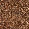 Strima Quilt Print Leopard - Leopard, Dark Brown Strima Quilt Print Leopard - Leopard, Dark Brown