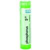 Phosphorus gra.1 x 4 g 5CH Phosphorus gra.1 x 4 g 5CH