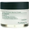 Pyunkang Yul Upokojujúci hydratačný krém - 50 ml Pyunkang Yul Upokojujúci hydratačný krém - 50 ml